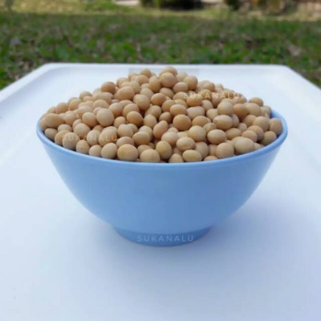 

KACANG KEDELAI ORGANIK