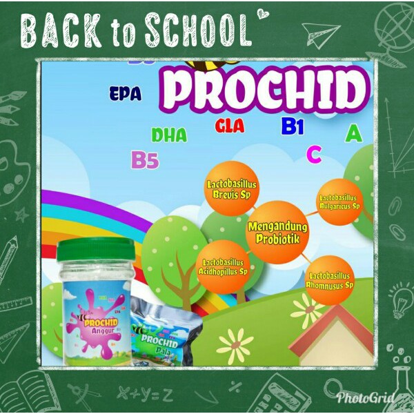 

Prochid Permen Madu Probiotik sachet