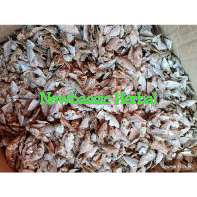 

ikan asin bondolan rebus lampung paket 500 gram