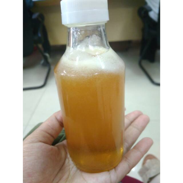 

Madu Mellifera