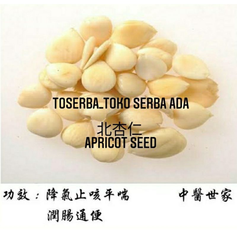 

100gr Herbal Bei Xing Ren 北杏仁 Apricot Seed Pahit / Bitter Apricot Kernel Premium Grade