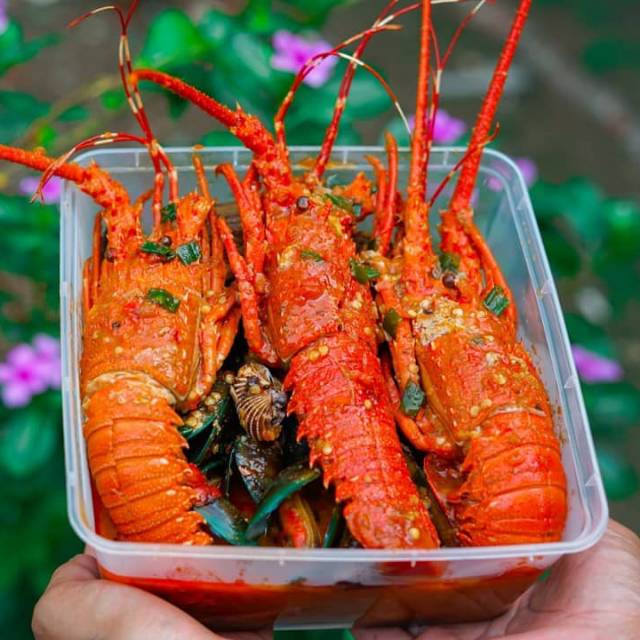 

Lobster Minimalis 3