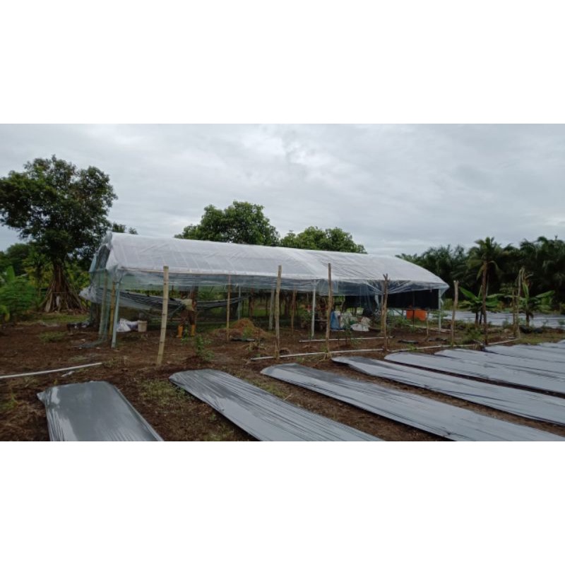 plastik COR bekas 8m×8m.tanpa sambungan