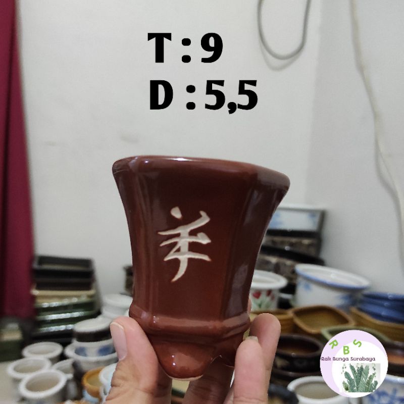 Pot Mame sukulen Keramik model tinggi