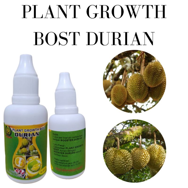 Hormon Durian Pupuk Durian Biar Cepat Buah, Pupuk Perangsang Bunga Dan Buah Durian