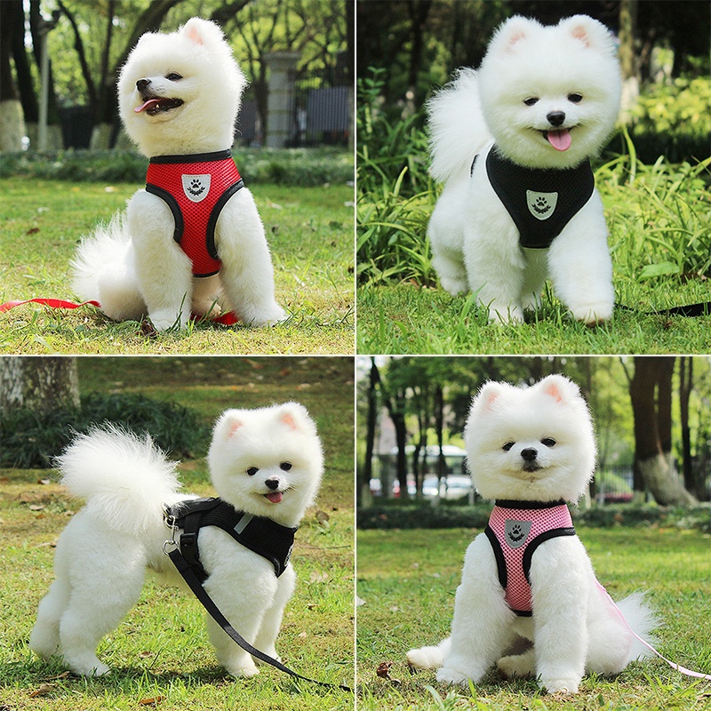 TALI KUCING HARNESS ANJING KUCING TALI TUNTUN KUCING TALI KUCING HARNESS KUCING ROMPI BAJU KUCING CAT LEASH DOG LEASHView Product AnalysisView Product Analysis