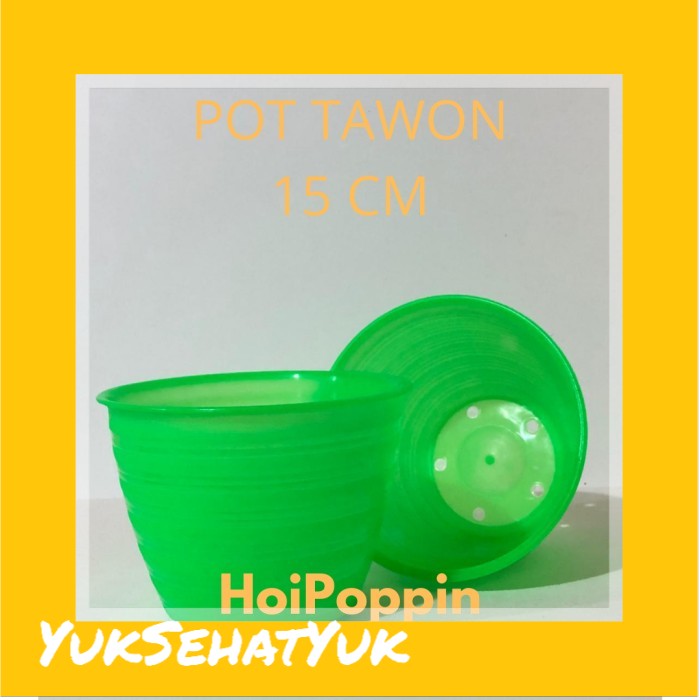 POT 15 HIJAU / POT TAWON 15 HIJAU / POT HIJAU / POT TANAMAN / POT 15CM