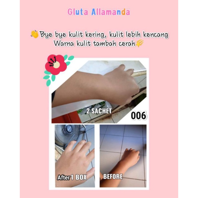 

gluta allamanda ori