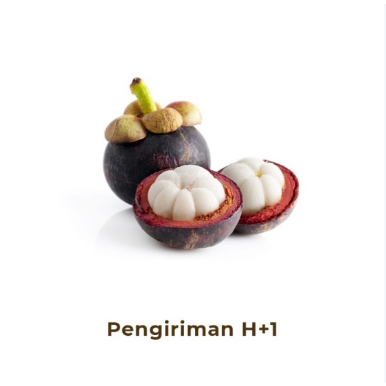 

Manggis Segar
