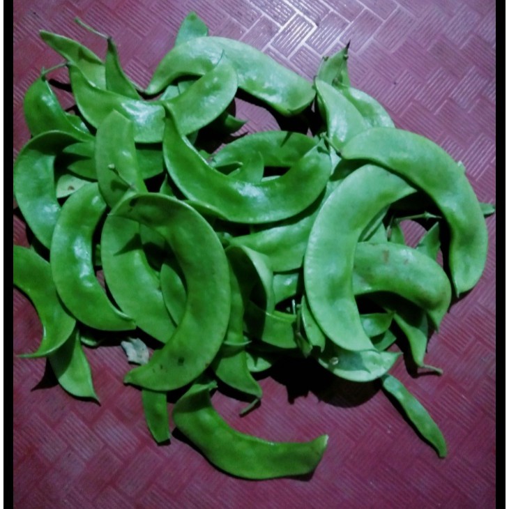 

Kepek koro sayur TERMURAH ORGANIK BARU PETIK