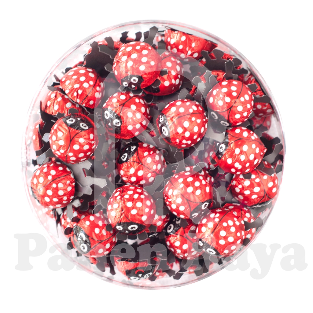 

Coklat Elvan Coklat Kumbang Toples Plastik Isi 70