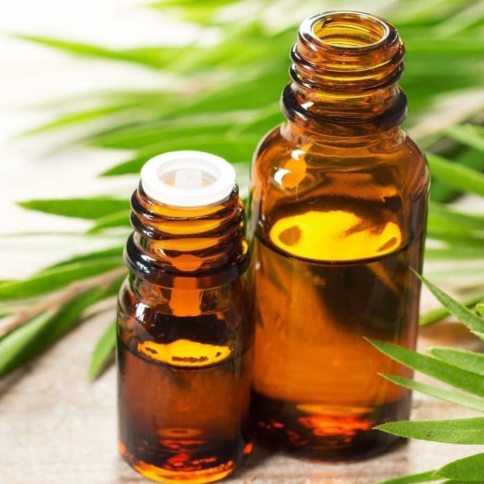 Tea tree Oil / Essential Tea tree / Minyak teatree Original (10ml)