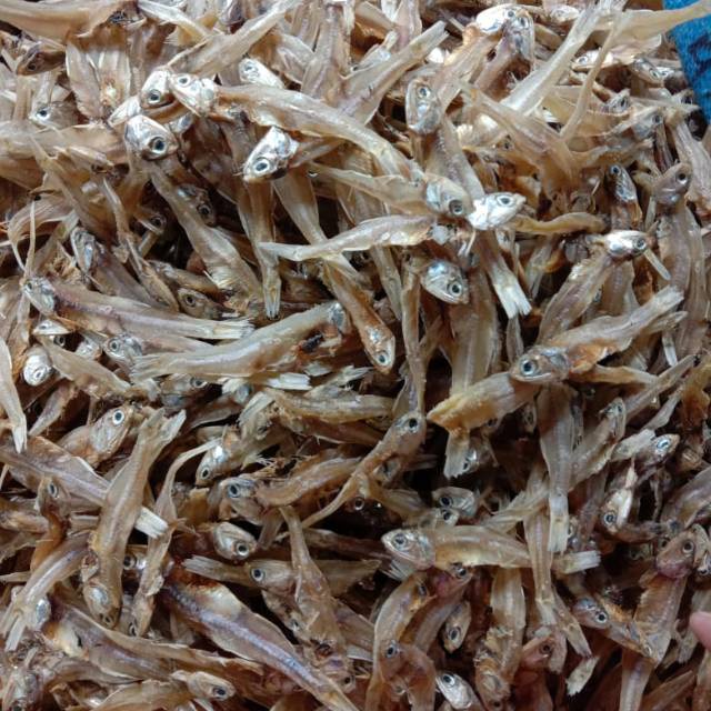 

IKAN TERI KERING KHAS SARANG REMBANG