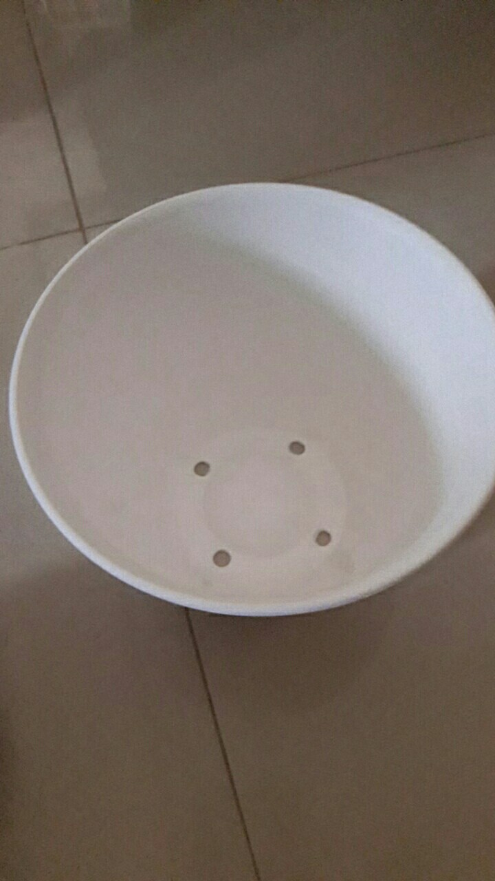 Ori 100% Pot Tawon - 18 Cm Asli Budi Jaya Bjp Bunga Pupuk Daun Benih Bibit #dirumahaja