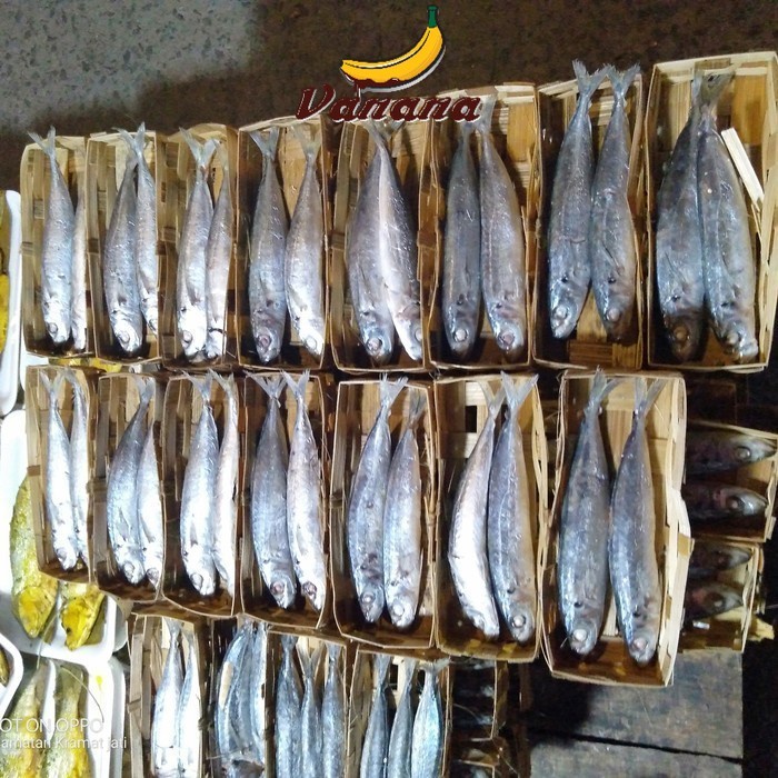 

VANANA ikan cuek layang segar isi 2 perkranjang