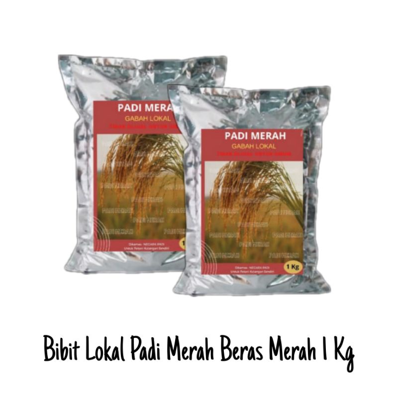 Bibit Lokal Padi Merah Beras Merah 1 Kg
