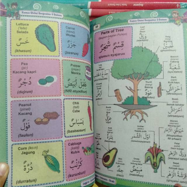 Kamus Global Bergambar 3 Bahasa Inggris - Indonesia - Arab