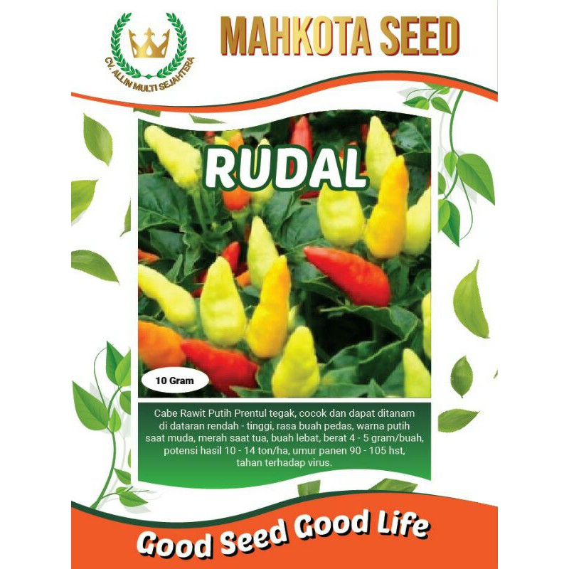 Benih Cabe Rawit Prentul Tegak dari Mahkota Seed Rudal - 10 gram