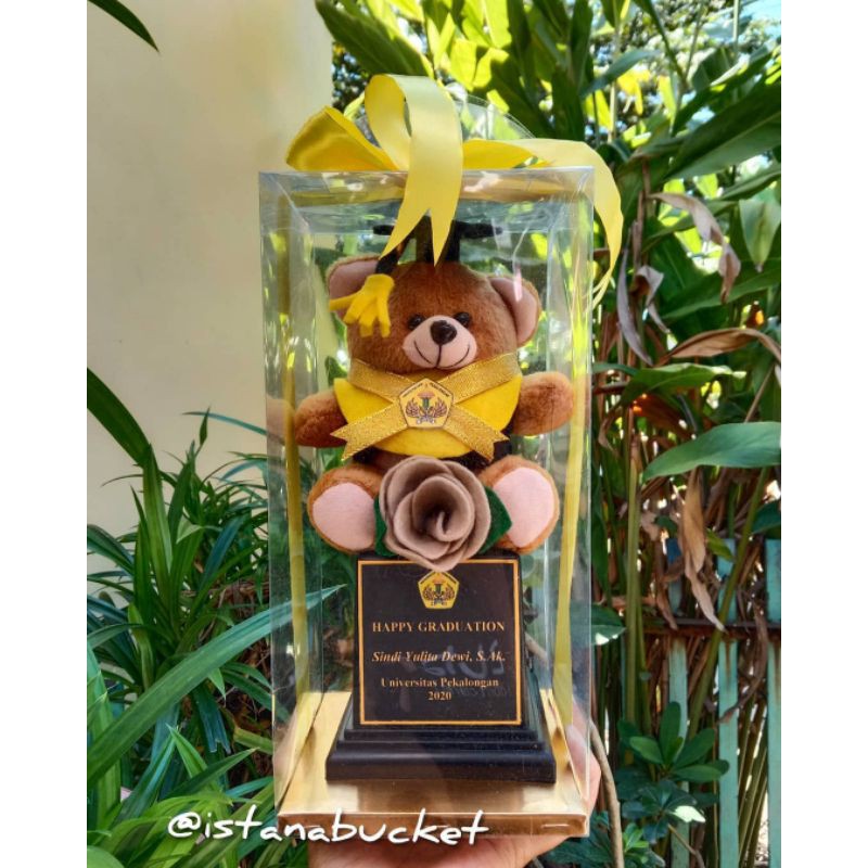 BONEKA WISUDA PIALA BOX MIKA/Boneka bear wisuda+packing