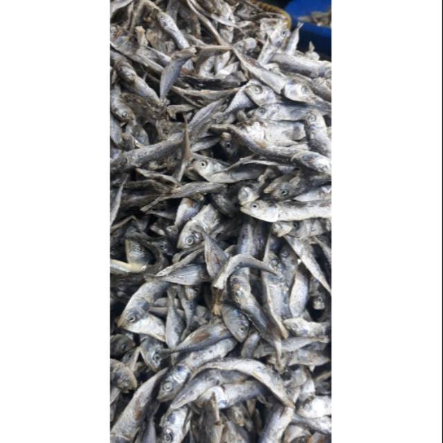 

Ikan kembung rebus 1 kg