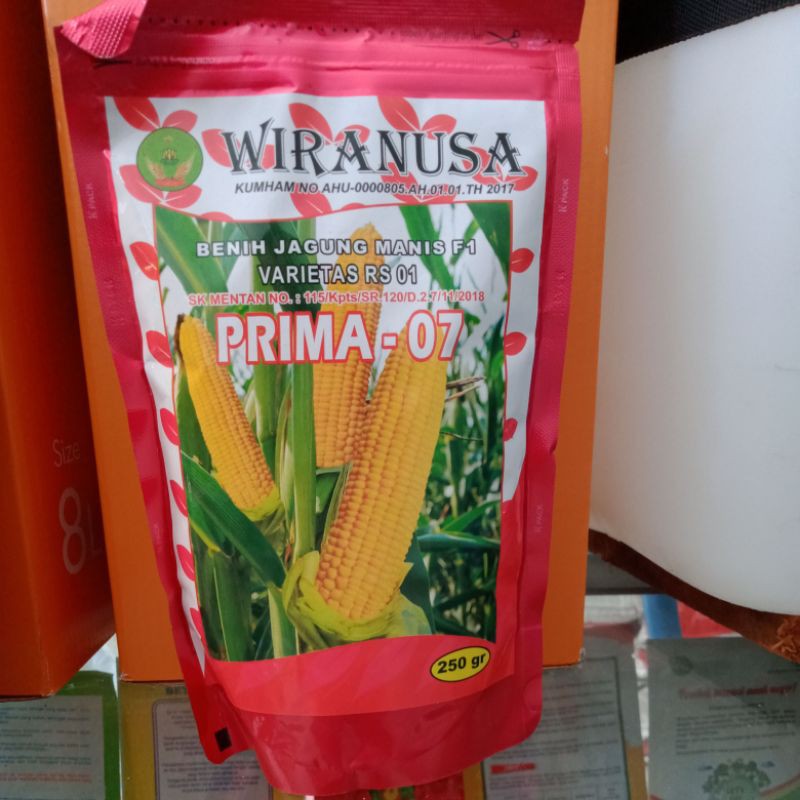 Benih Jagung Manis F1Prima-07 250gr