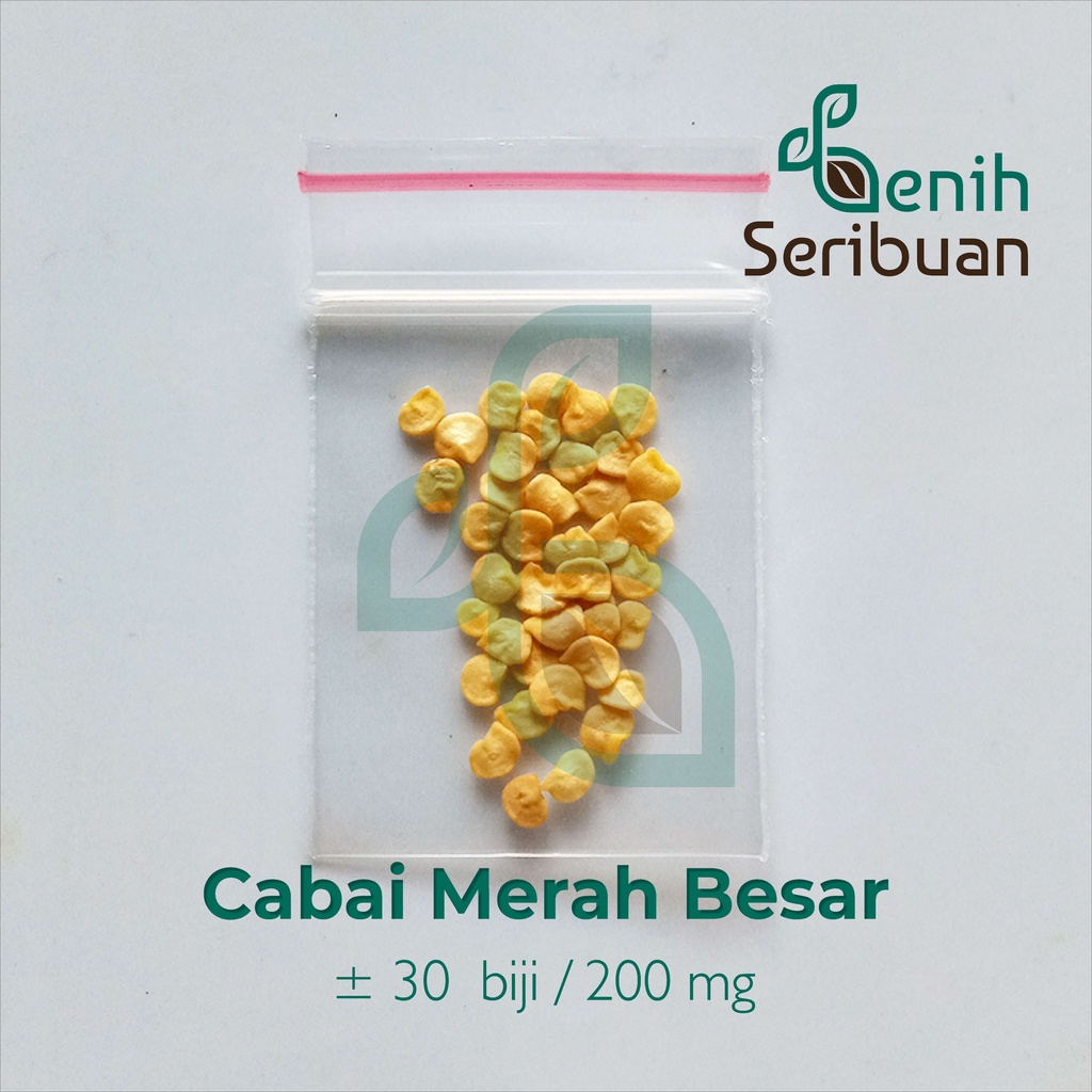 30 Benih Cabe Merah Besar Sayuran Tahan Virus Cabai Unggul Berkualitas - Bibit Tanaman Sayur Seribua-3