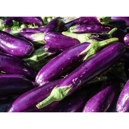 TERONG UNGU EGGPLANT SAYUR SAYURAN SEGAR FRESH 500GR