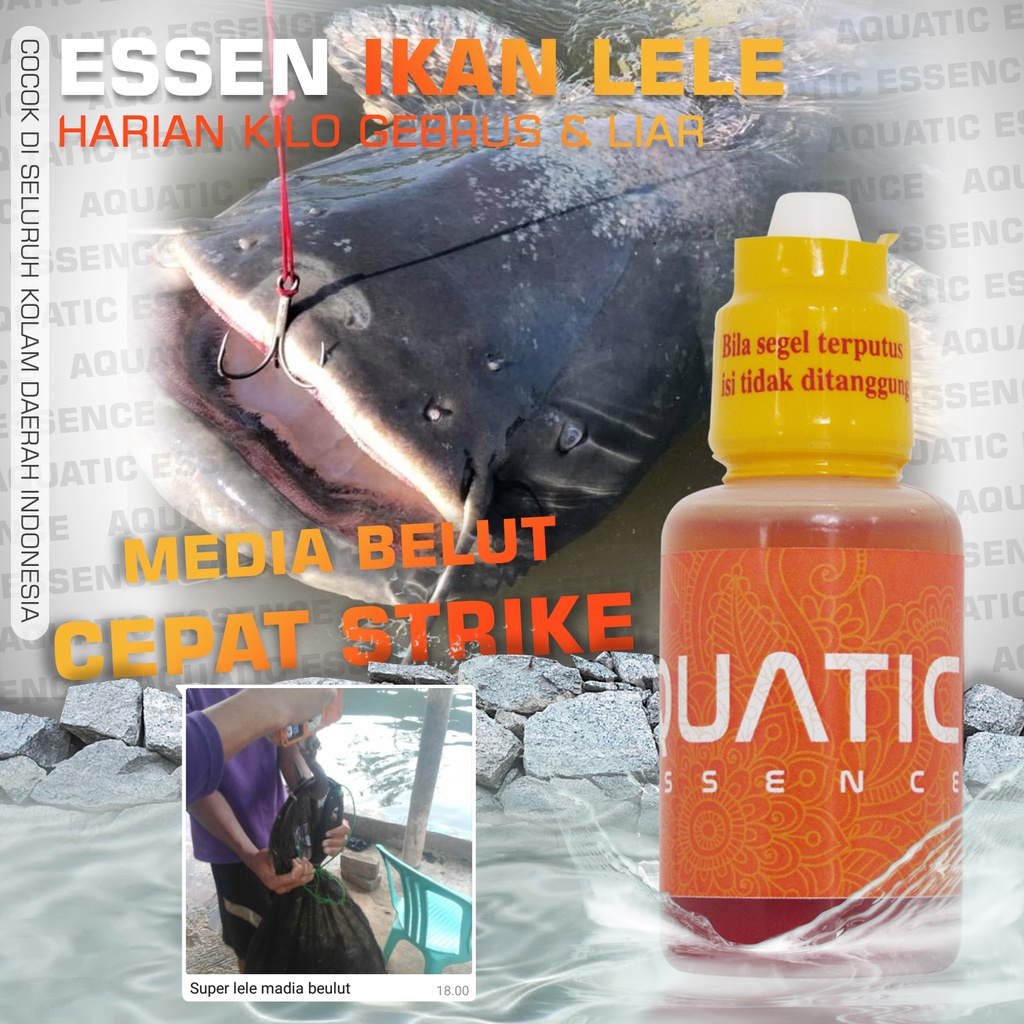 Essen Ikan Lele Aquatic Harian Kilogebrus Oplosan Umpan Mancing Paling Ampuh