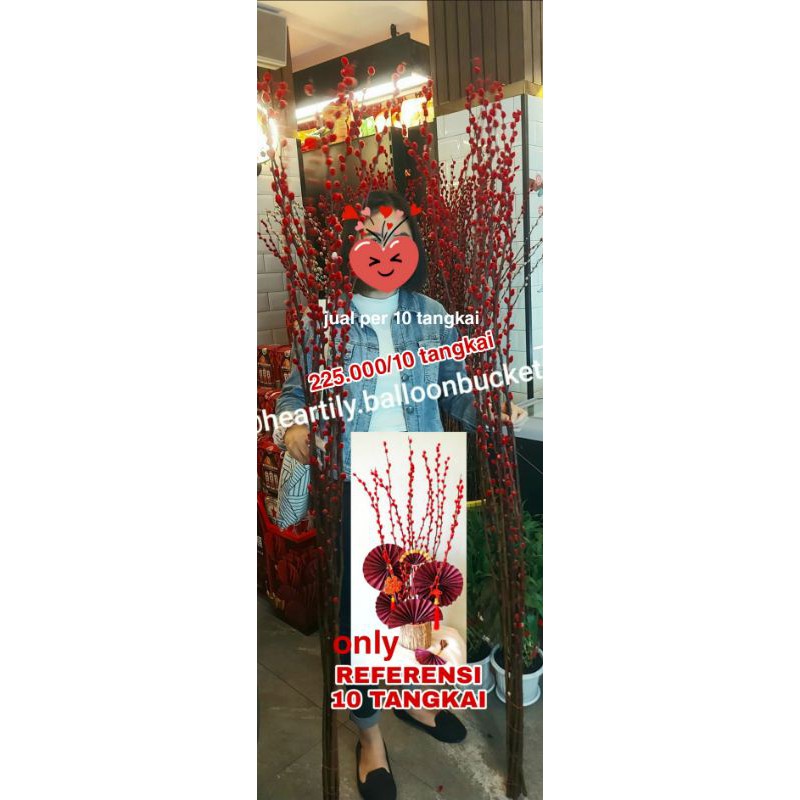 [READY JKT INSTANT] PER-10 TANGKAI PUSSY WILLOW ASLI FRESH BUNGA POHON IMLEK CNY HAMPERS IMLEK CNY