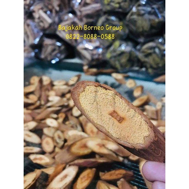 Akar Kayu Bajakah kalalawit kering Siap Seduh (100% Original) Asli Kalimantan