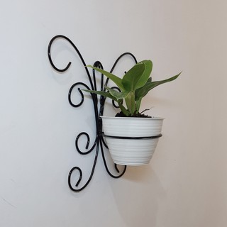 Gantungan Pot Bunga dinding gaya kupu kupu Shopee Indonesia Gantungan Pot Bunga dinding gaya kupu kupu Shopee Indonesia