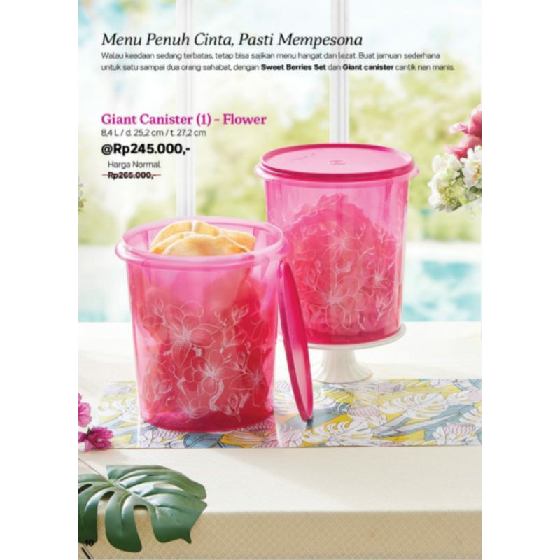 Giant canister flower