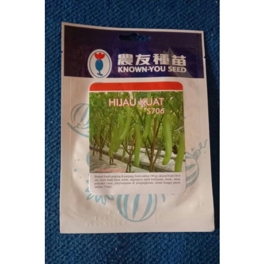 BENIH TERONG HIJAU KUAT KNOWN YOU SEED S706 5GR