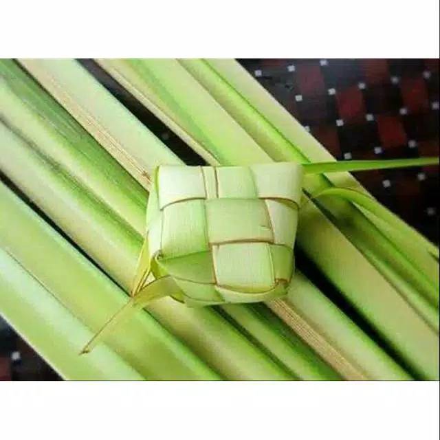 

Janur ketupat/janur kelapa/cangkang ketupat/bungkus ketupat/Kelontong ketupat dan ketupat matang