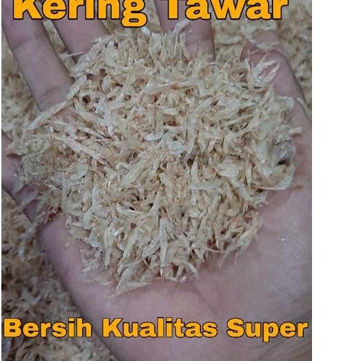 

Model baru - Udang Rebon Kering - Udang rebon tawar - Udang rebon lokal ホ