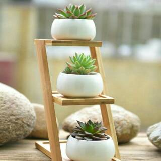  Rak  tanaman  mini planting gardening pot kaktus succulent 