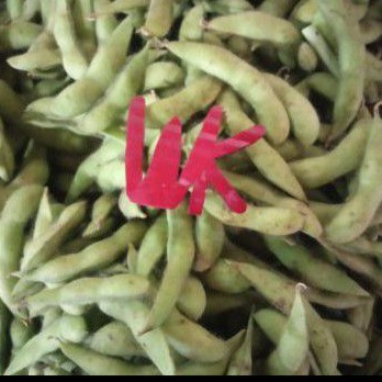 

Kacang Edamame