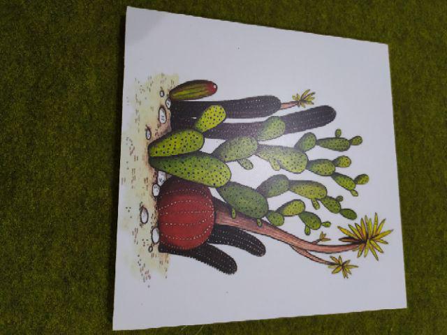 Wp Project Hiasan Dinding Walldecor Pajangan Dinding Shabby Chic Kaktus Succulents