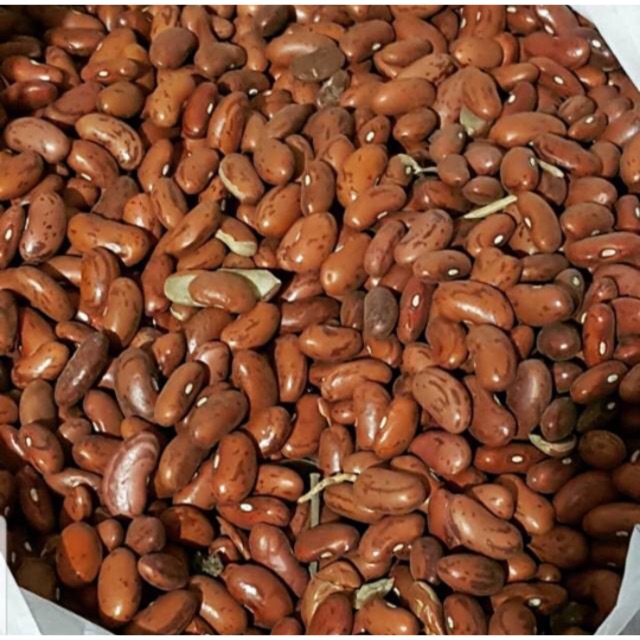 

Kacang merah 1kg