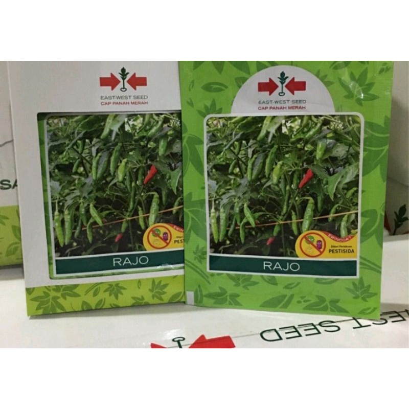 Benih Cabe Rawit Rajo isi 2250 Butir
