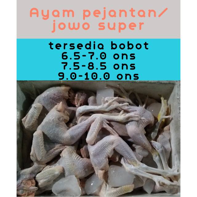 

Ayam Pejantan / Jowo Super