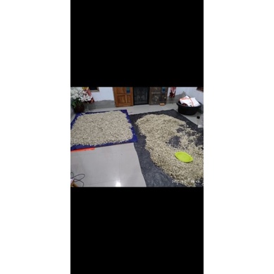 

teri asam bilis bengkalis 1kg mantap