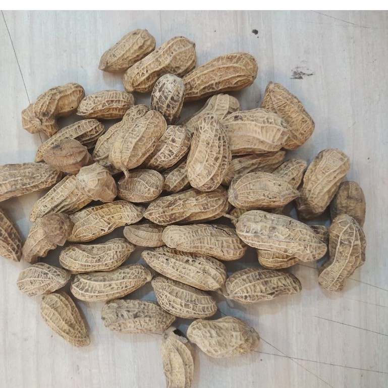 

kacang sangrai super 3kg
