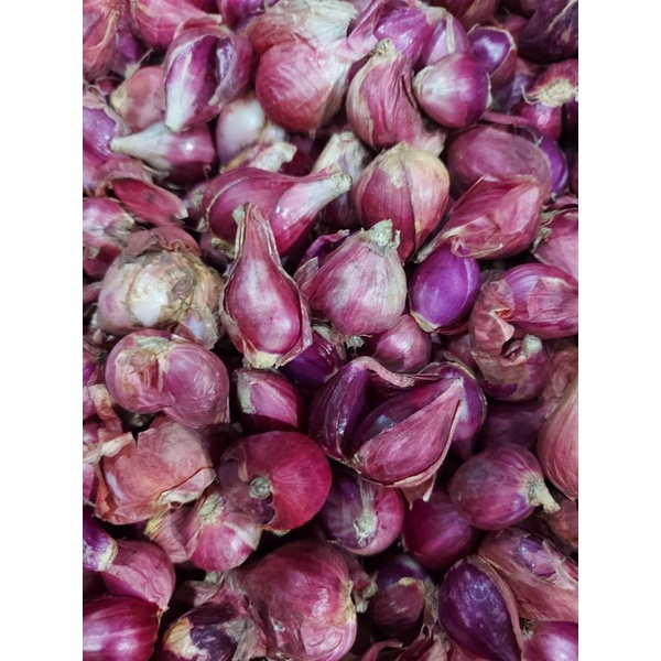 BAWANG BREBES UKURAN SEDANG 1KG