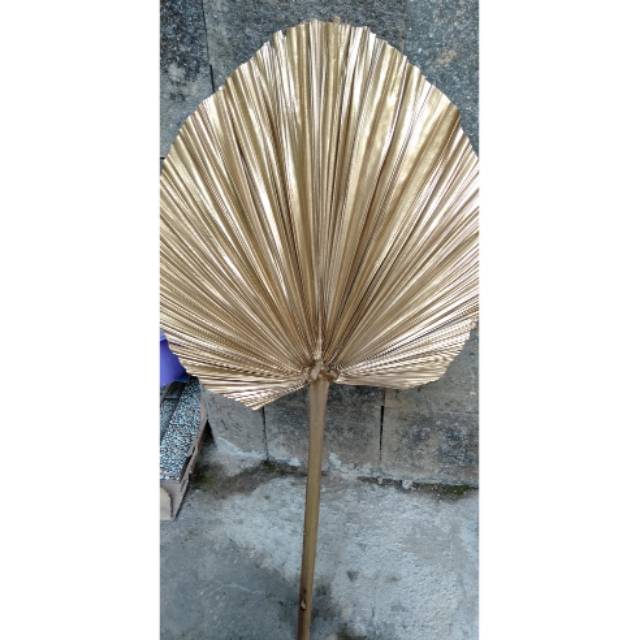 

Palem kering