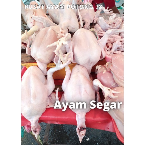 

Ayam Segar 1 Ekor Berat 1kg