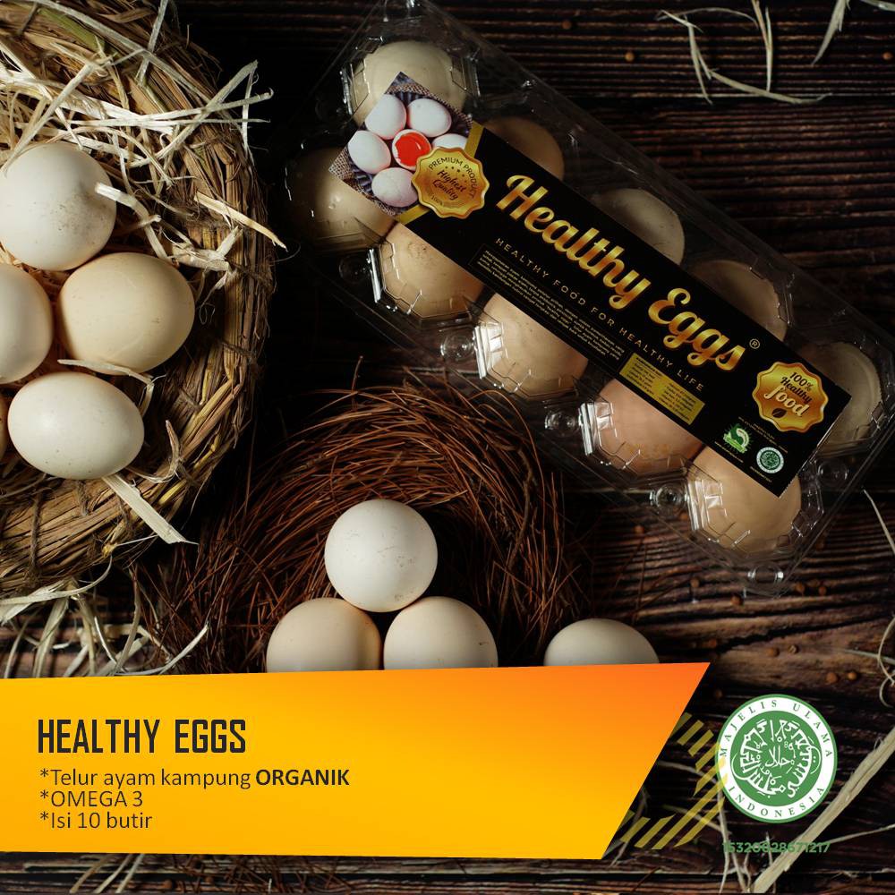 

Healthy Eggs|Telur ayam kampung organik