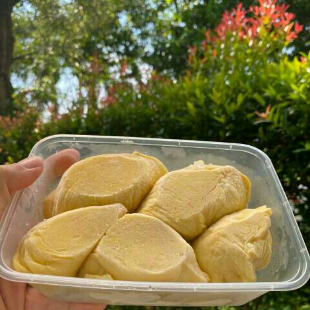 

Durian Montong