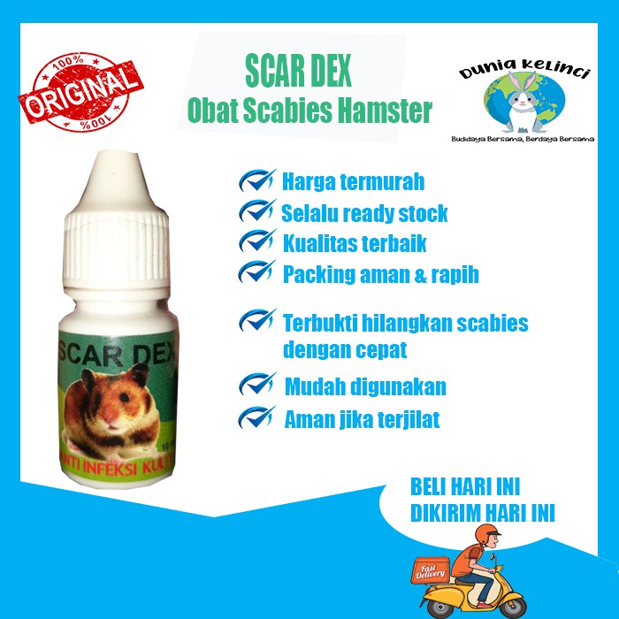 OBAT SCABIES HAMSTER SCARDEX INFEKSI KULIT GUDIK