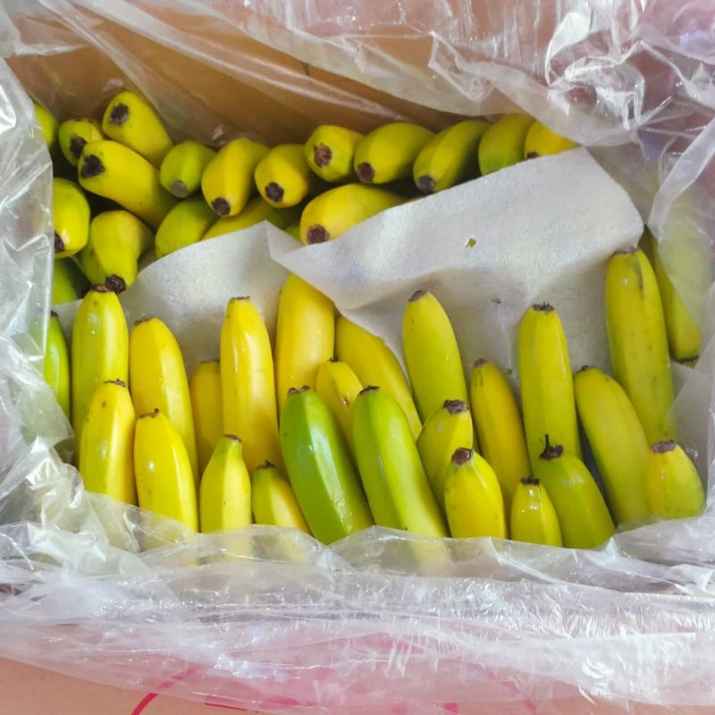 

Buah Pisang Cavendish Sunpride Fresh 1 Kg